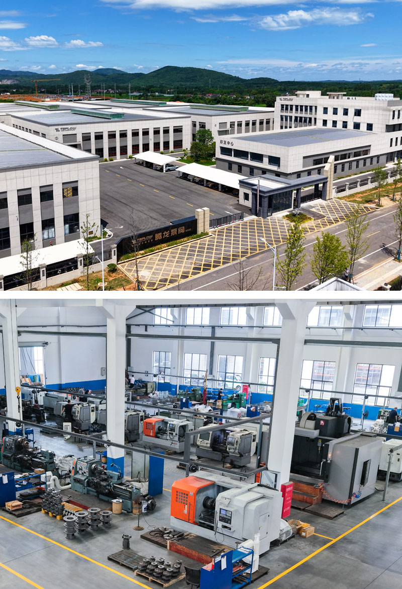 spesialis dalam pompa penggerak magnetik khusus - pompa & katup tenglong